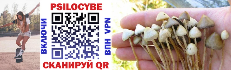 Псилоцибиновые грибы MAGIC MUSHROOMS  гидра как войти  Коммунар 