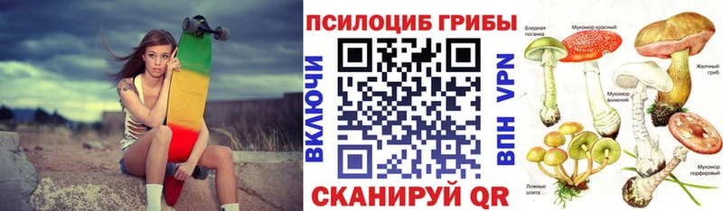 Псилоцибиновые грибы мицелий Коммунар